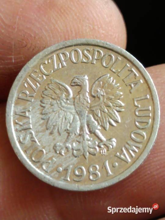 Sprzedam 10 gr 1981 r lekka skretka zzzz