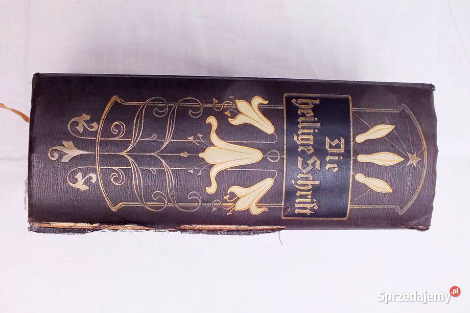 Stara biblia ilustrowana