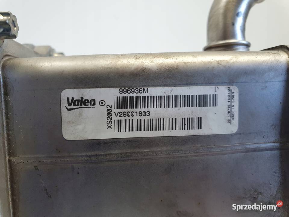 Renault Scenic III 19 DCI CHŁODNICA SPALIN egr Rudka