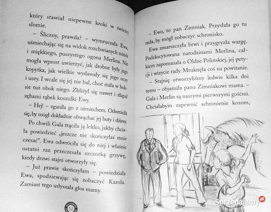 Merlin Bezdomny źrebak Tina Nolan Chełm