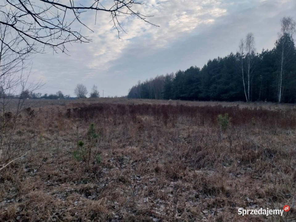 Grunt Rolny na sprzedaż Marysin gm Kałuszyn rolna Sprzedaż sprzedam