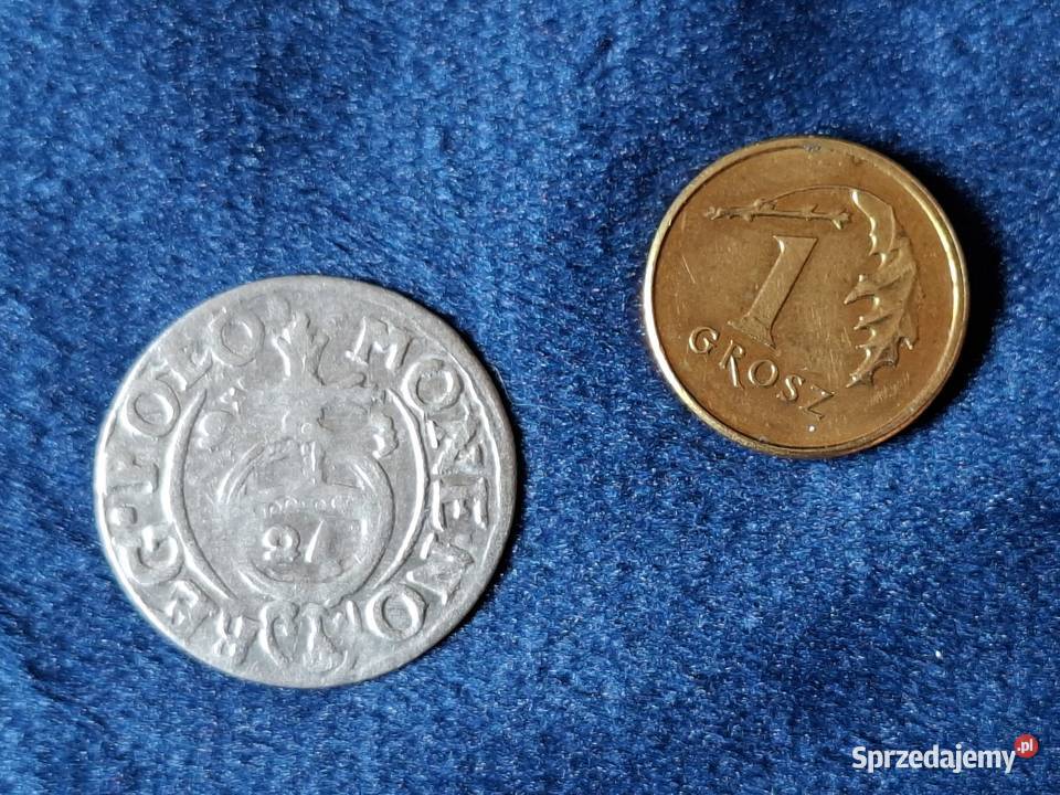 Polska Królewska półtorak Zygmunt III 1623 Numizmatyka Wejherowo