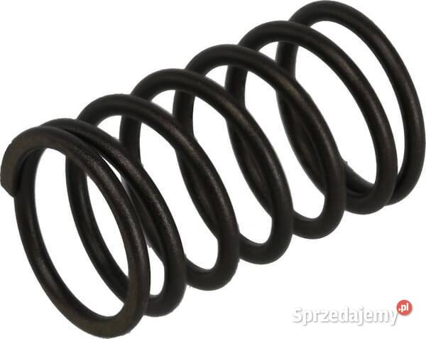 Sprężyna zaworu 1403400390001 Kamionna