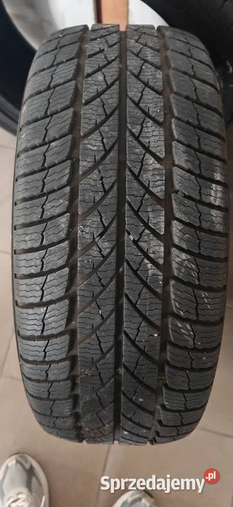 Opony zimowe Paxaro inverno 24545 R18 Świebodzin