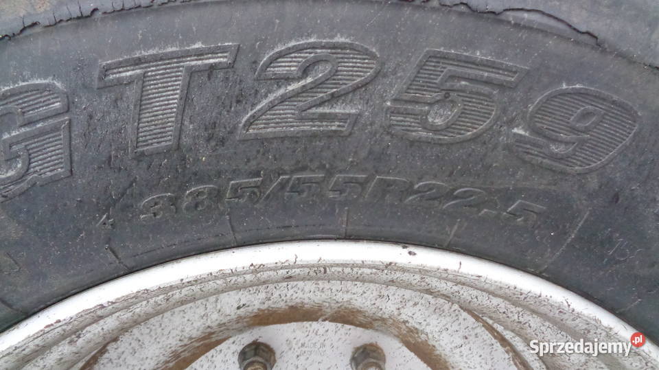 Przyczepa BSS 2 08 07 Olszyna