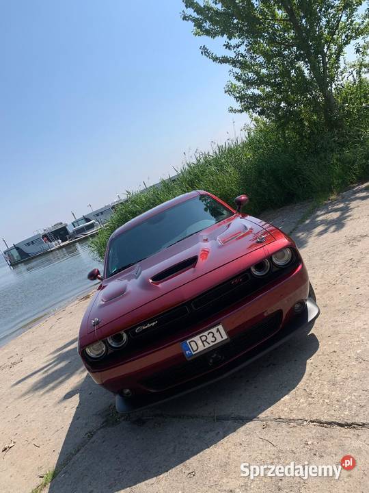 dodge challenger 1320 last call sprzedam