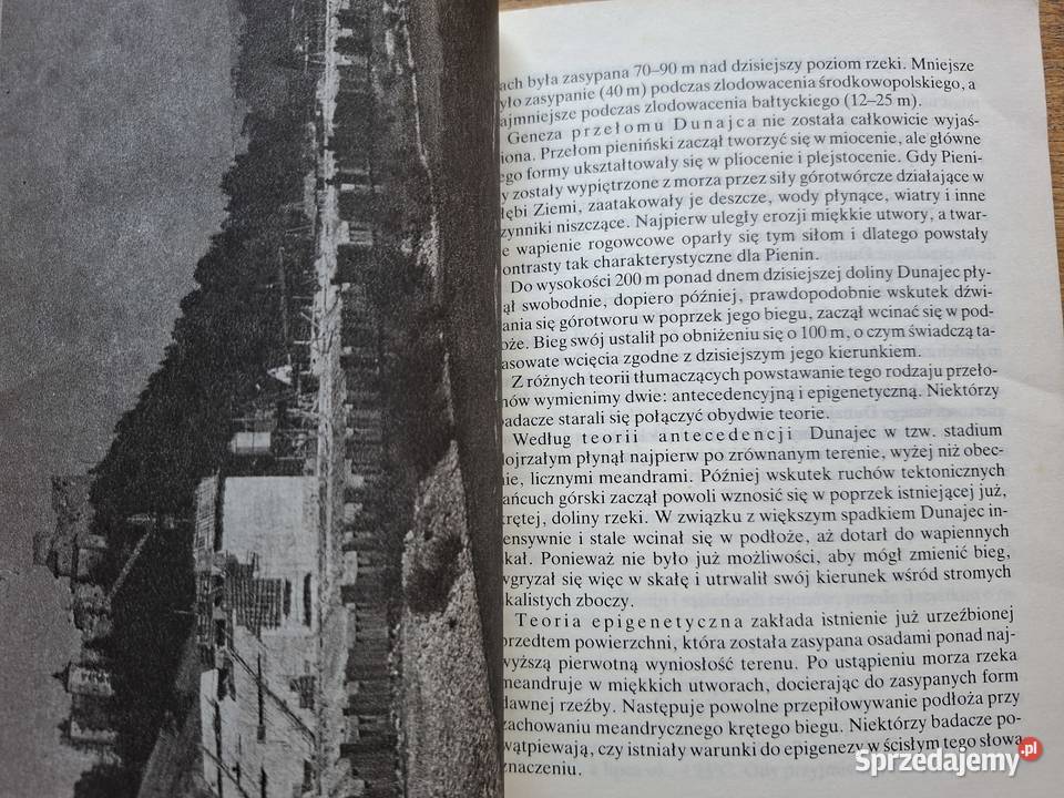 Pieniny Władysław Strojny przyroda polska małopolskie Kraków sprzedam