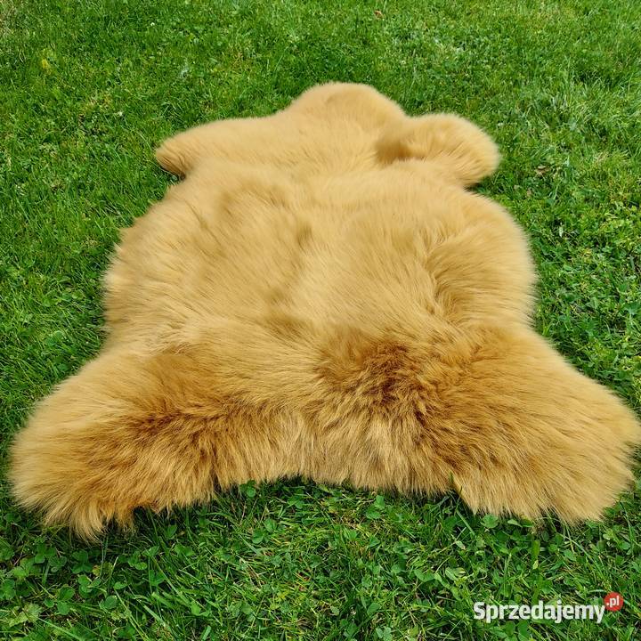 Skóra Owcza Naturalna Kolor Musztardowy Skóry sprzedam