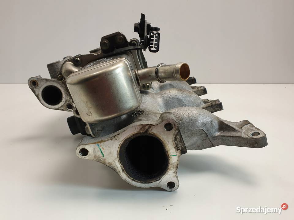 Renault Scenic III 19 DCI ZAWÓR EGR chłodnica lubelskie Rudka