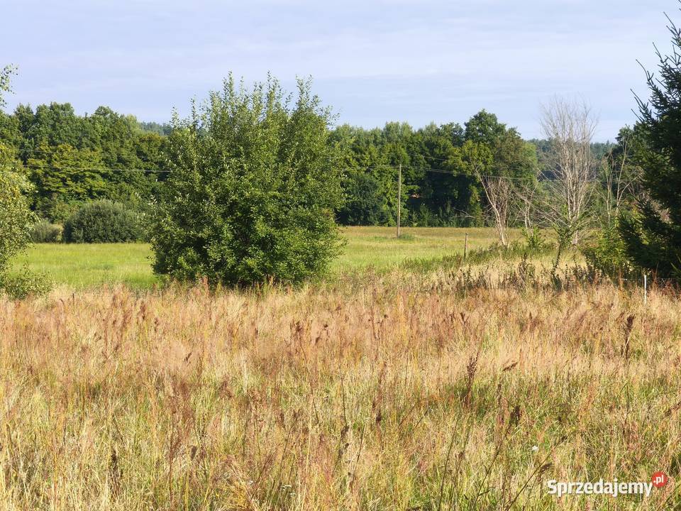 Z dala spojrzeń sąsiadów Sprzedaż Chocielewko