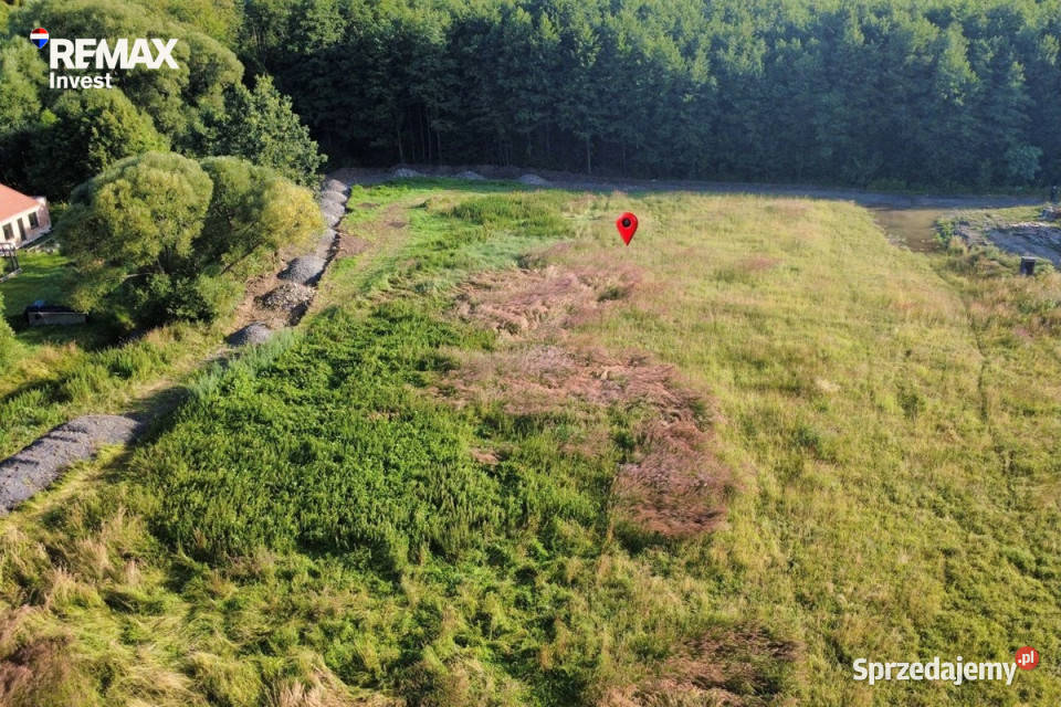 Działka pod lasem 2438 m Międzyrzecze Górne