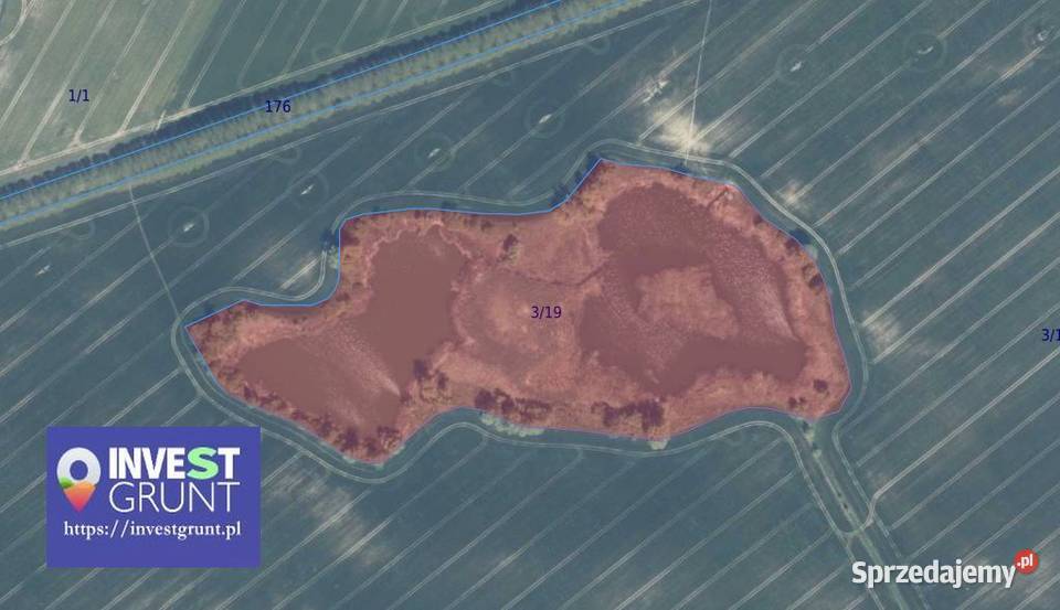 718 ha jezioro przetarg na dzierżawę Krzymów