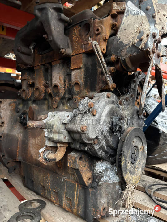 Perkins LF31227 Silnik Blok Tryb Koło Pasowe Jastrzębniki