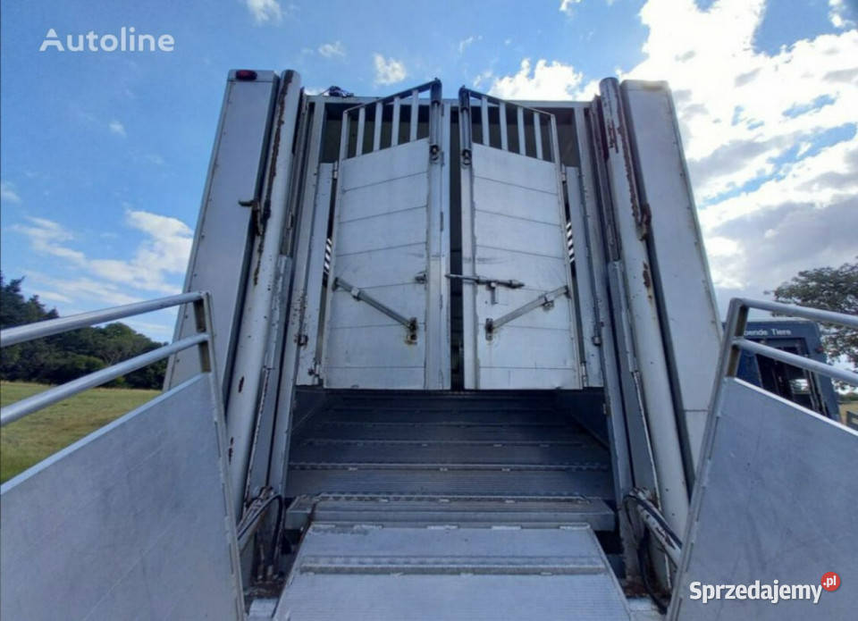 do przewozu zwierząt GrayAdams GADD3 Gray Adams śląskie Łaziska Górne