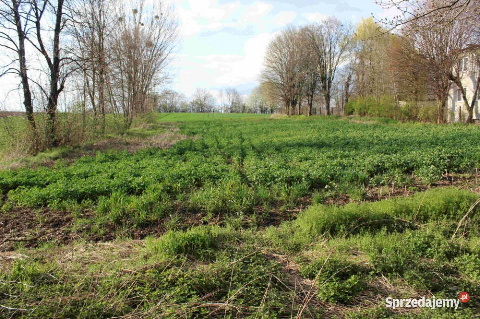 Sprzedam działkę budowlaną asfalcie Sprzedaż Hulcze