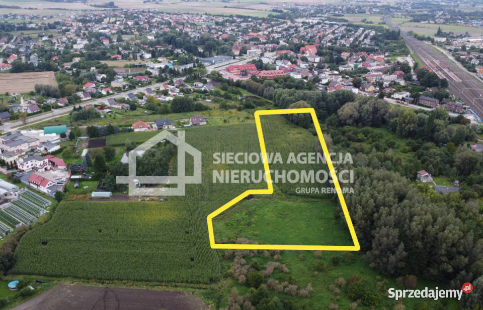 Działka Pszczółki 11570m