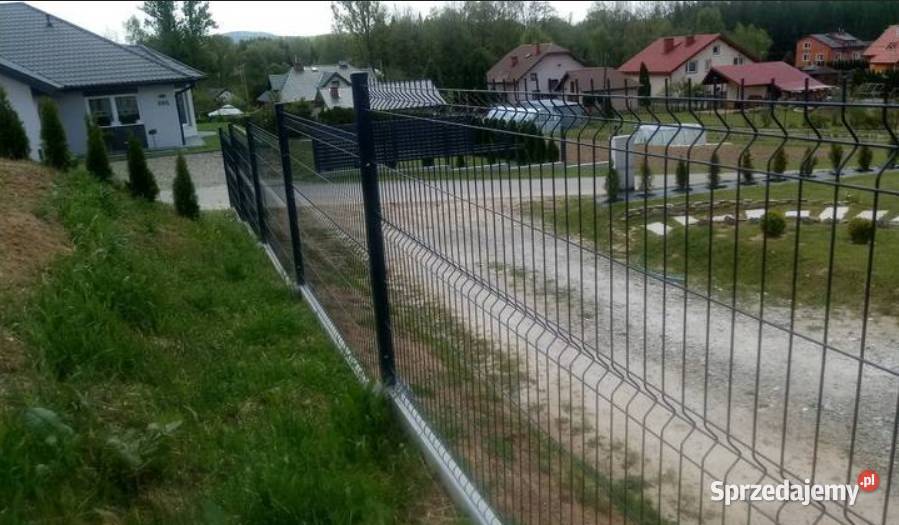 Panel ogrodzeniowy PROMOCJA 123x250 fi4mm Ogrodzenia i bramy Gorlice
