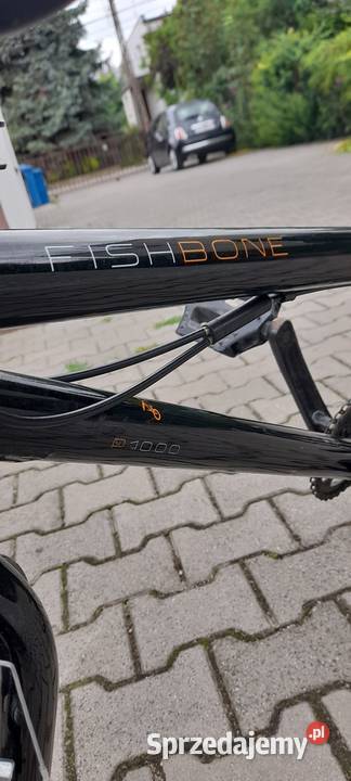 Rower BMX Fish Bone P 1000 20 Radwanice