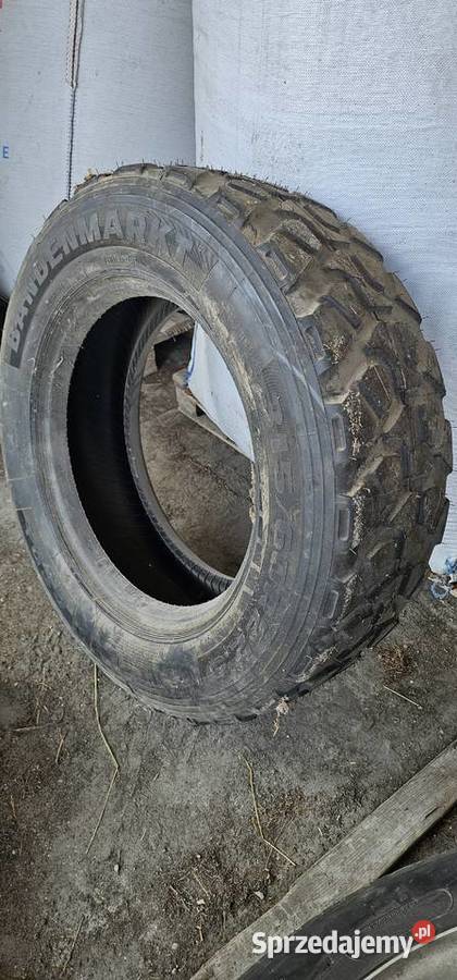 Opona Bandenmarkt 31560225 Złoczew