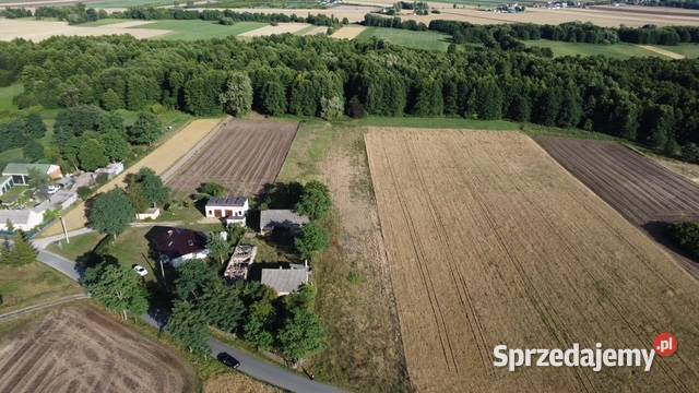 SPRZEDAŻY GRUNTU JÓZEFOWO GMINA SŁUPCA POWIAT Słupca sprzedam