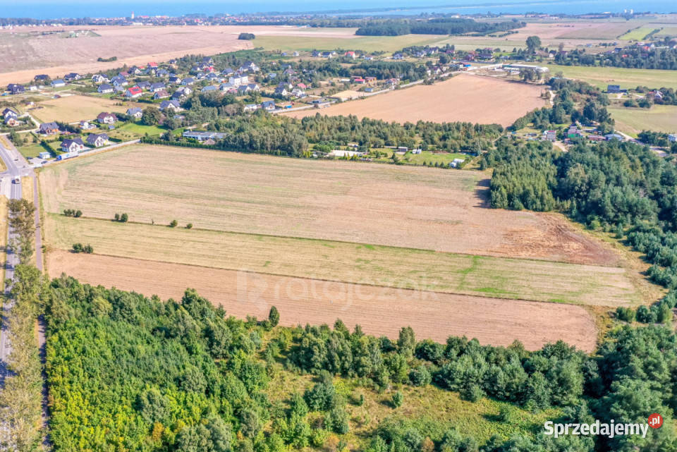 sprzedaży gruntu 9632m2 Łebcz Dr Augusta sprzedam
