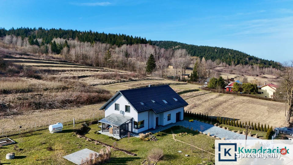 Dom wolnostojący 270m2 Iwla