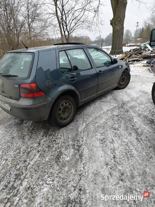 Golf 4 Golf Świecie