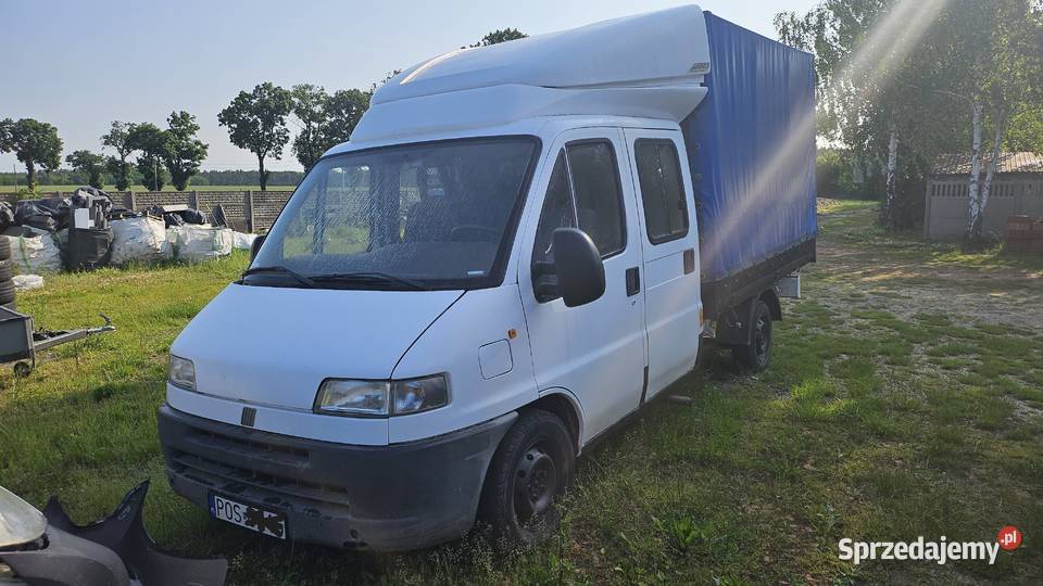 Fiat Ducato 7os pojazd z przeznaczeniem na Ostrów Wielkopolski