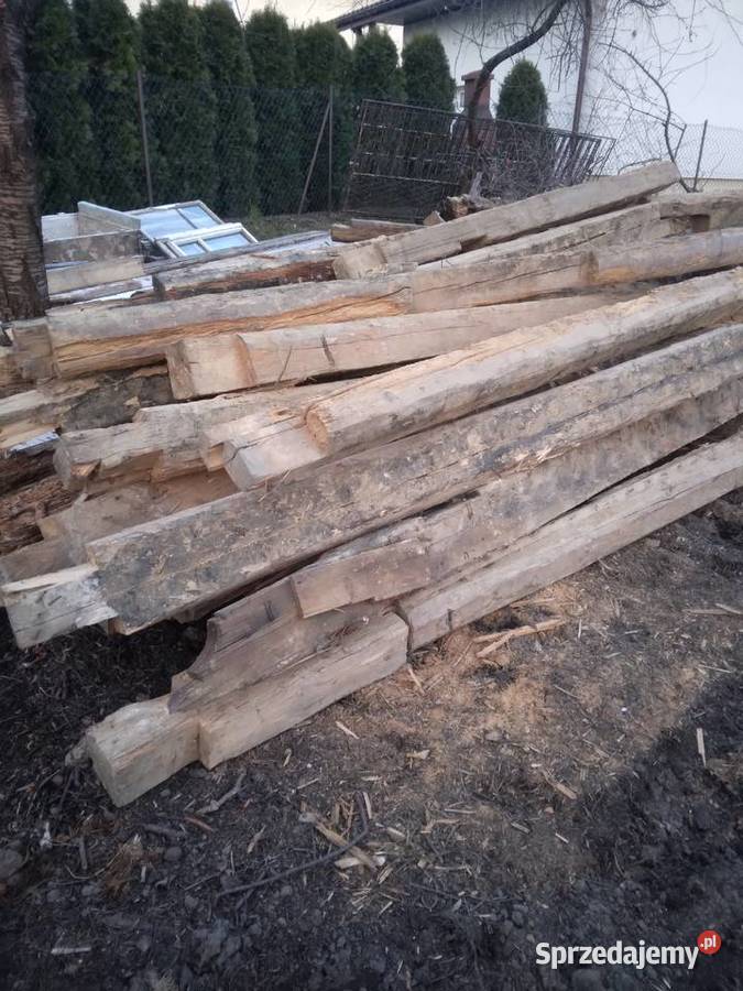 Belki stare wiekowe Nowa Góra