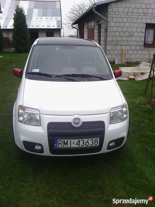 sprzedam fiat panda 100hp nieuszkodzony Mielec