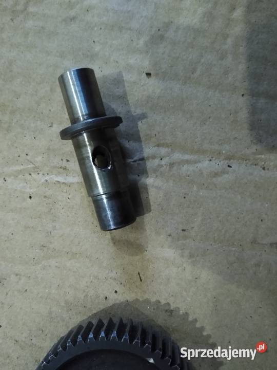 Junak m10 koło pośrednie rozrządu napęd pradnicy Kruszwica