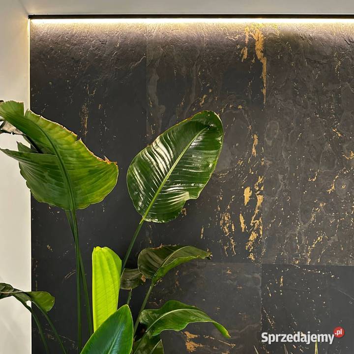 Fornir Kamienny Łupek Black Gold tapeta 2MM Poznań