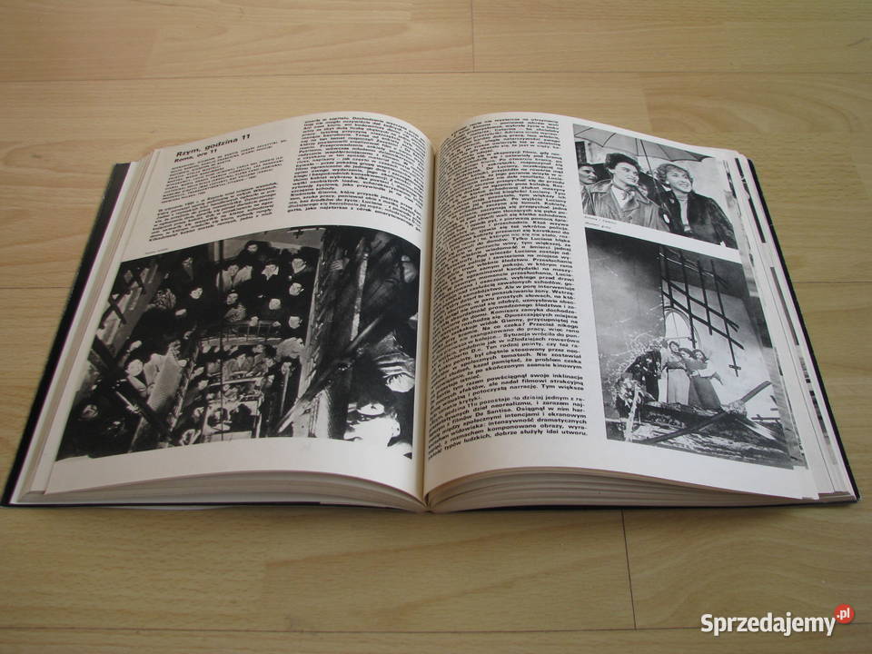 100 filmów włoskich Hanna KsiążekKonicka małopolskie Brzegi sprzedam