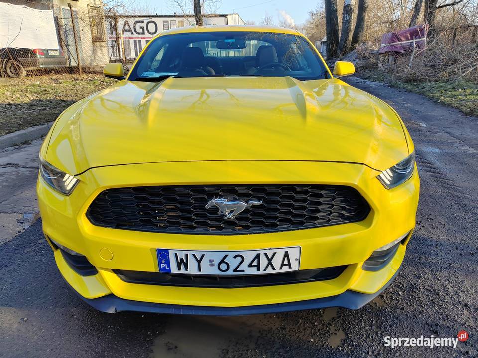 Ford mustang 37 Warszawa