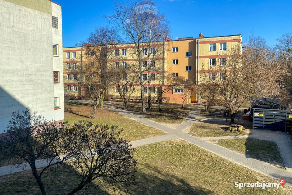 Kawalerka do wynajęcia zaraz Os Żeromskiego piwnica mazowieckie Żyrardów