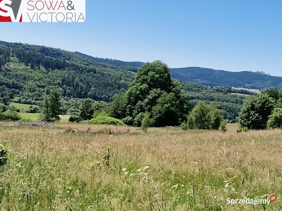 Natura Przestrzeń Spokój i Góry Sowie Kolce