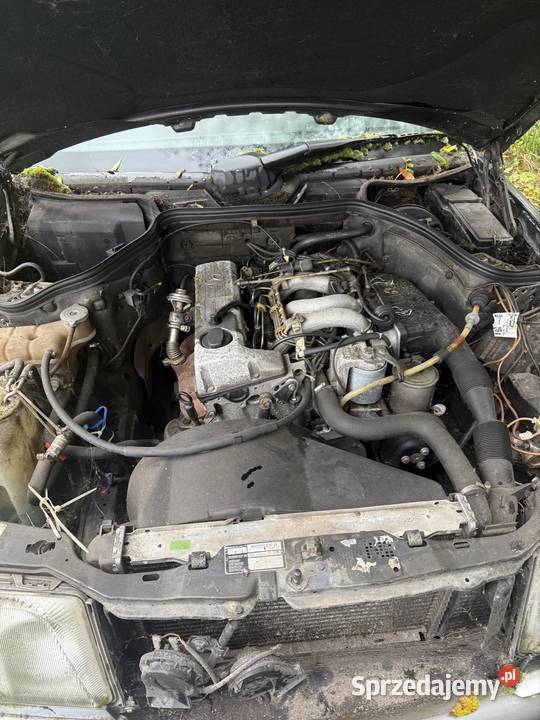 Mercedes w124 20d Goleniów sprzedam