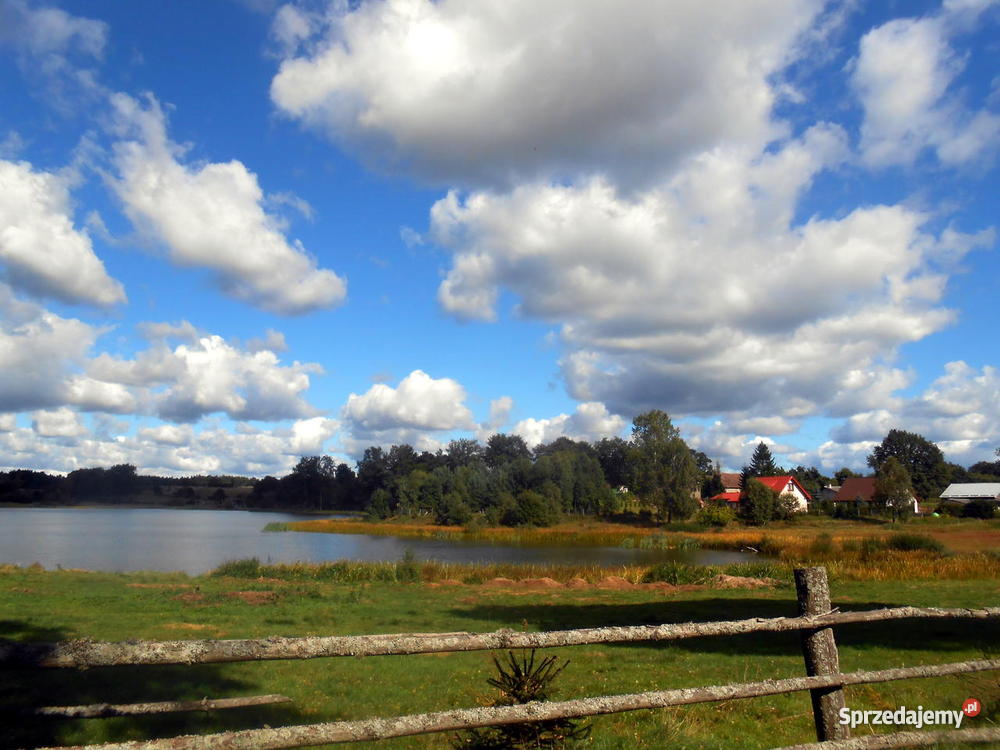 Na 36 hektarów Działki rolnobudowlane las Gm Dęb 360000m2 Dębnica sprzedam