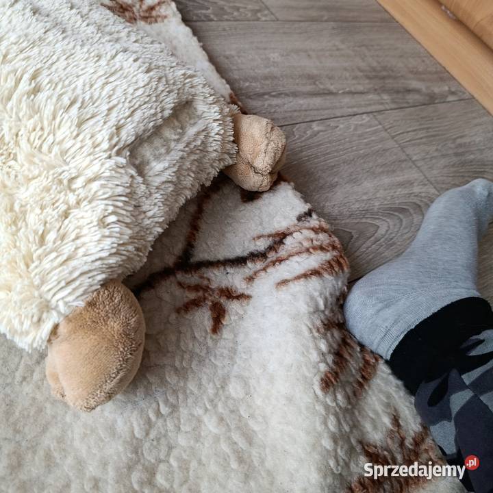 składanka poduszka owieczka kremowa Poznań