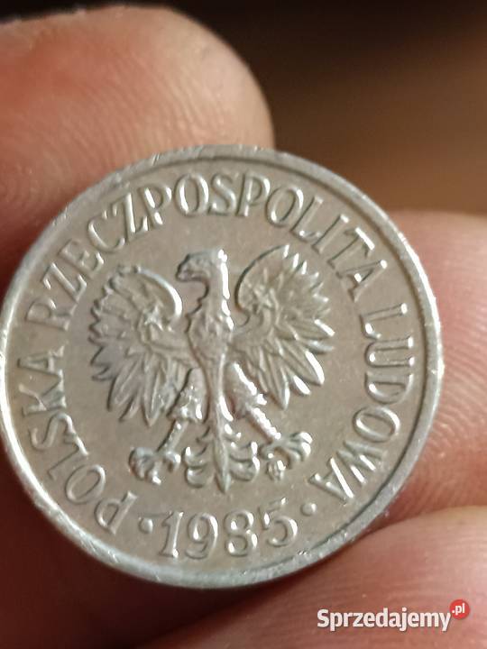 Sprzedam 20 gr 1985 r skretka Chełm sprzedam