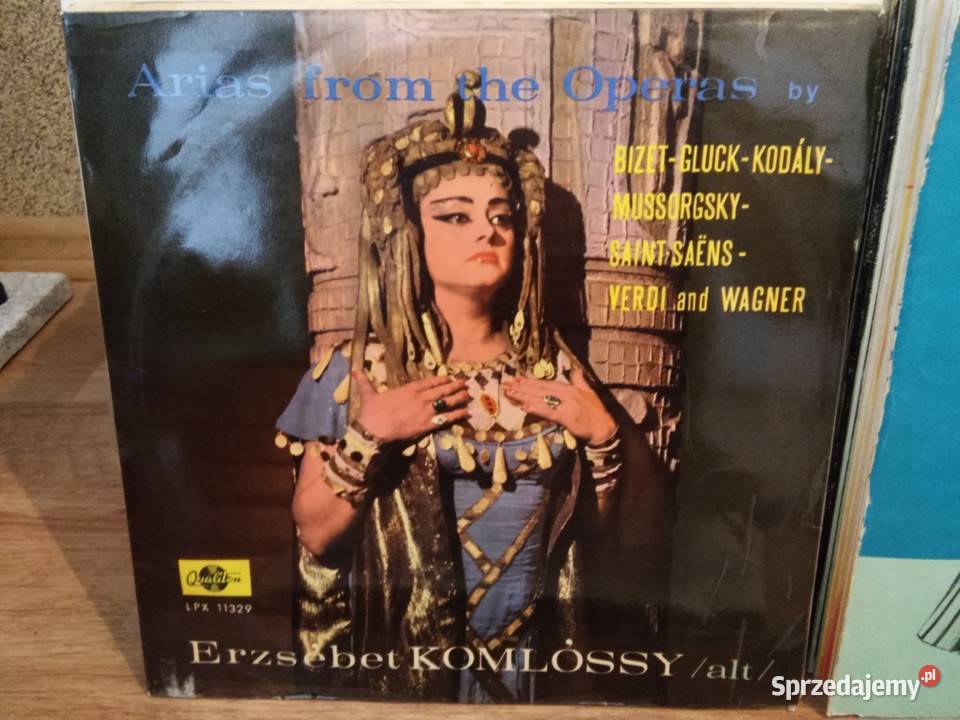 Kolekcja 170 płyt winylowych całość w transzach klasyczna kujawsko-pomorskie Włocławek