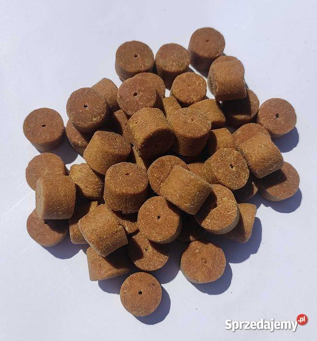 Maszyna do produkcji pelletu wędkarskiego Leżajsk