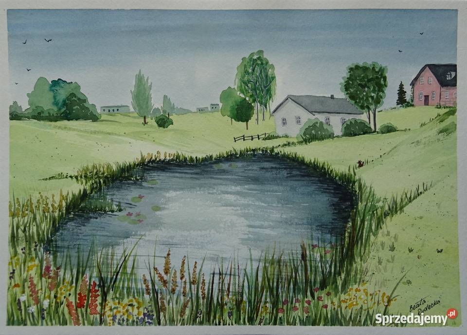 Akwarela Akwarelka Obraz pt Lato w Filipowie łódzkie Aleksandrów Łódzki