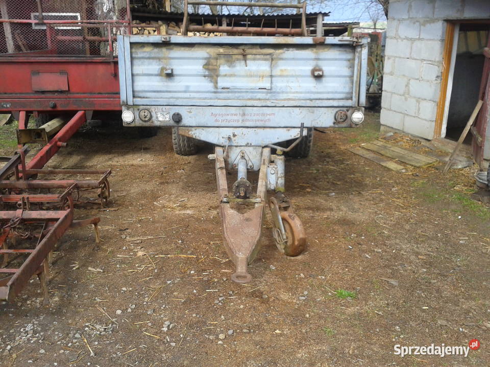 kopaczka do ziemniaków elewatorowa Nowa Słupia