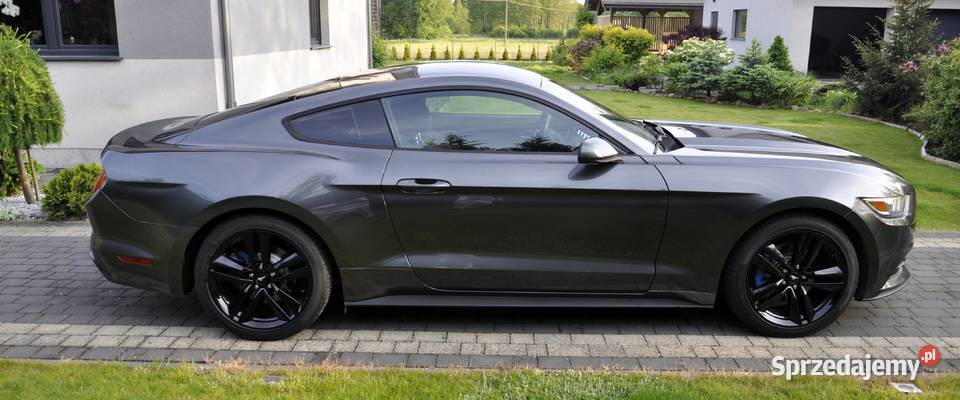 Mustang 37 2016 wielkopolskie