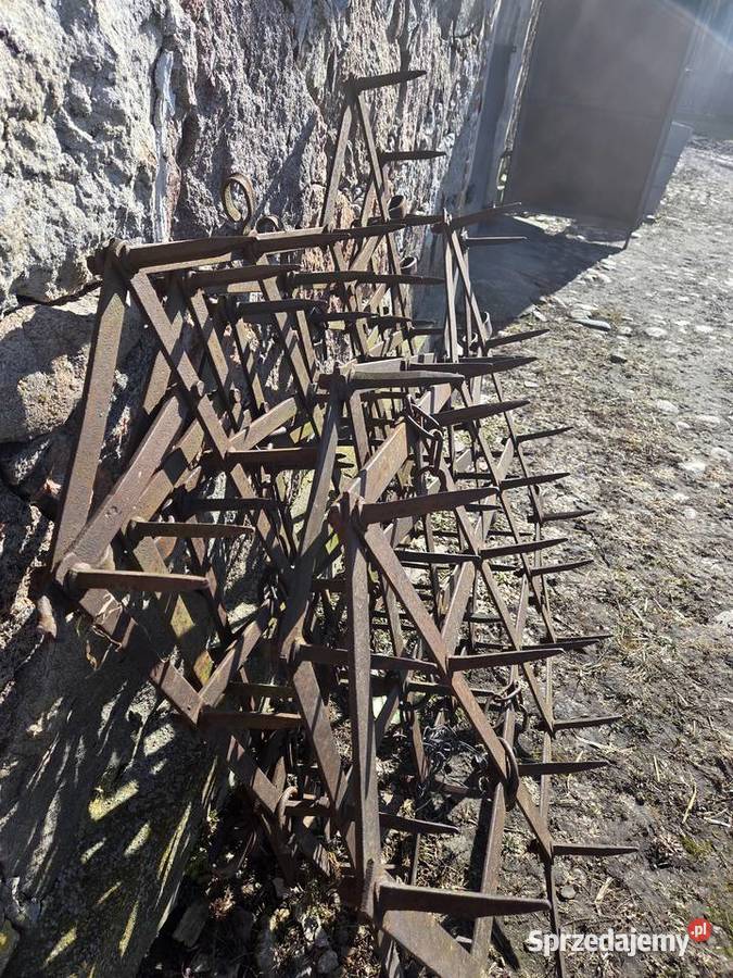 Pola 5 bron stan łódzkie Żychlin sprzedam