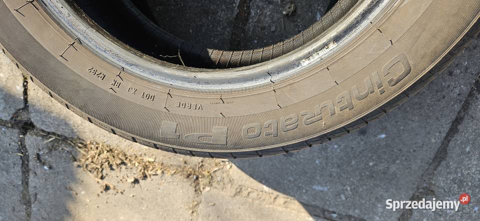 Opony letnie Pirelli Cintauro 2055516