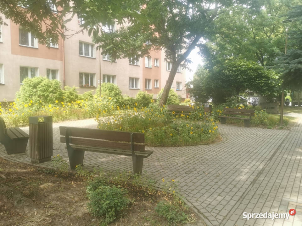 Bez prowizji remoncie 43 mkw parter k WSIZ i internet Rzeszów