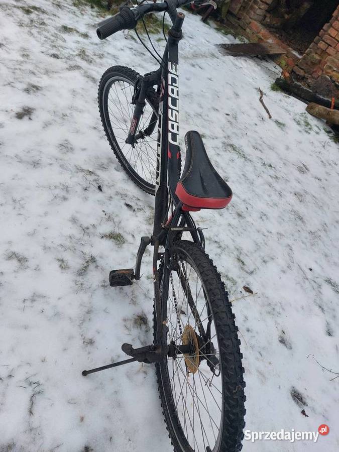 Rower stan Kostrzyn nad Odrą