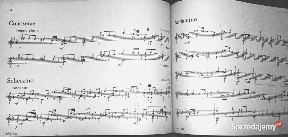 Pierwsze kroki gitarzysty Józef Powroźniak